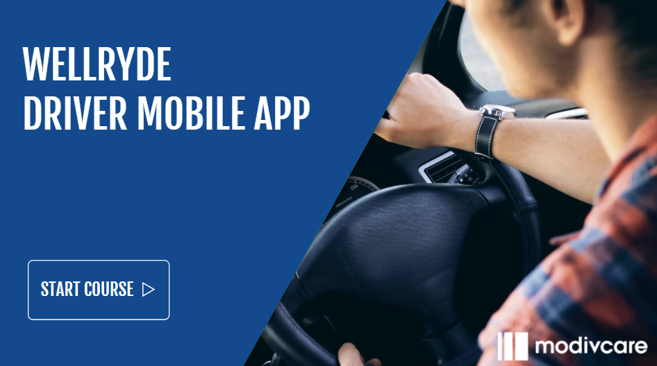 WellRyde Driver Training Courses